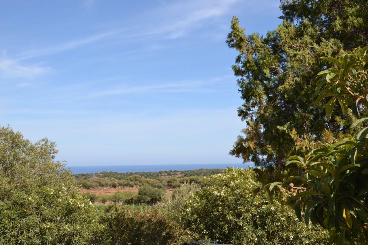 Casa Indipendente Immersa Nel Verde Con Vista Mare 도르갈리 외부 사진
