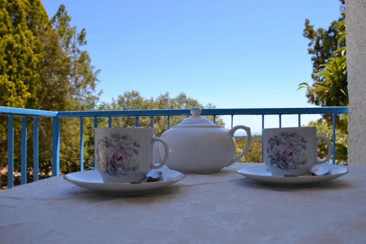 Casa Indipendente Immersa Nel Verde Con Vista Mare 도르갈리 외부 사진